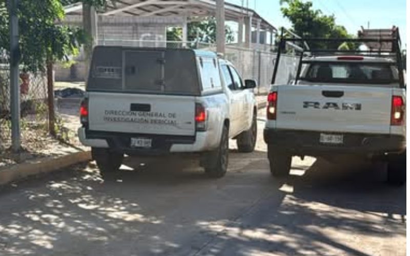 Muere trabajador al recibir descarga eléctrica mientras podaba árboles en Navolato