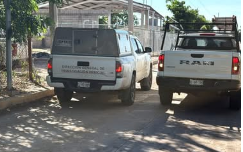 Muere trabajador al recibir descarga eléctrica mientras podaba árboles en Navolato