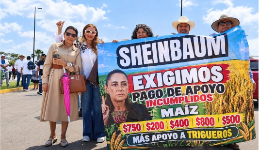 Productores agrícolas demandan entrevista con la presidenta Claudia Sheinbaum