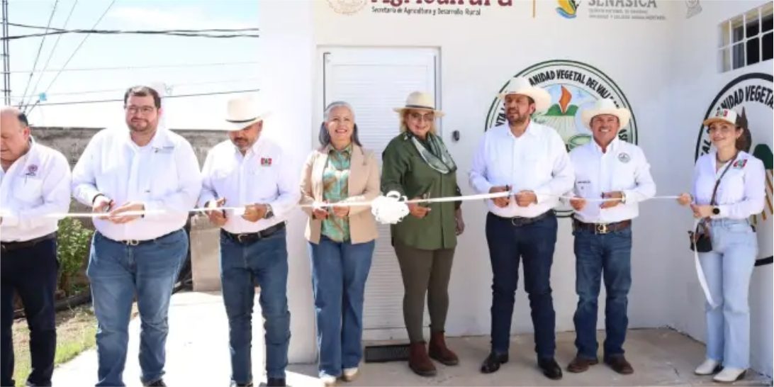Inaugura Ismael Bello Esquivel, laboratorio de insectos benéficos para la agricultura en la Región del Évora